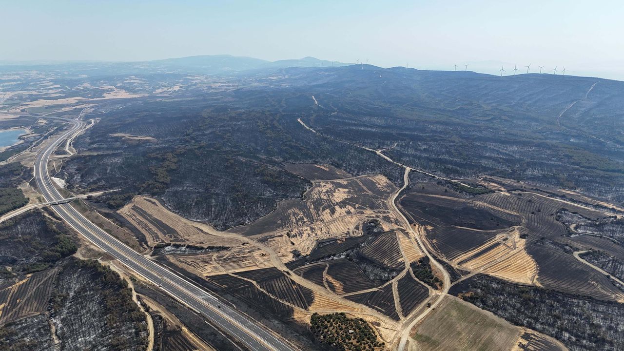 Çanakkale'de yanan alanların yeniden rehabilitasyonu için çalıştay