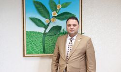 Zirai don çayı da etkiledi; rekoltede yüzde 3’lük düşüş beklentisi