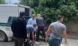 Annesini dövüp, boğan şüpheli tutuklandı