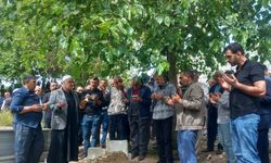 Beyin kanaması geçiren gazeteci, 52 günlük yaşam mücadelesini kaybetti