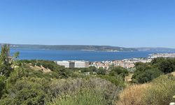 Çanakkale Boğazı'nda müsilaj etkisini kaybetti