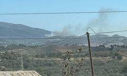 Hatay'da orman yangını