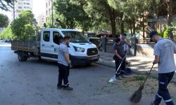 Kadıköy'de hafif ticari aracın üzerine ağaç devrildi