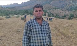 Traktörle gidilemeyen tarlalardaki buğdaylar orakla biçiliyor