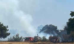 Çanakkale'de orman yangını