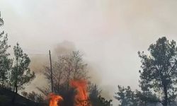 Denizli'de orman yangını