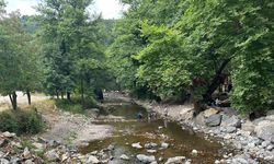 Sakarya'da Maden Deresi ve şelalesi kurudu