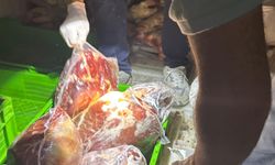 Şırnak'ta 3 ton kaçak et ele geçirildi