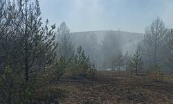 Kastamonu'da orman yangınında 10 dönüm alan zarar gördü