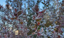 Ardahan'da hava eksi 10 dereceye düştü, kırağı oluştu