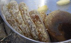 Bitlis Valisi Ahmet Karakaya, kara kovan bal hasadı yaptı