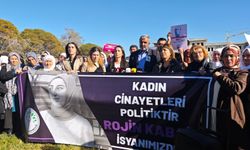 DEM Parti'li Hatimoğulları: Rojin'in başına gelenlerin ortaya çıkarılması için sonuna kadar takipçisi olacağız