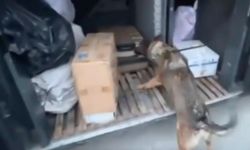 Otobüslerde elektronik sigara ve kartuşu ele geçirildi