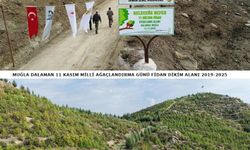 6 yıl önce dikilen fidanlar geleceğe nefes oldu