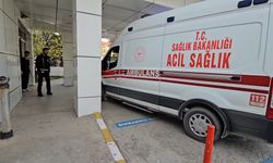 Ağabeyini döverek öldürdü