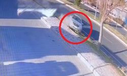 Ağaca çarpan otomobil ikiye bölündü: 2 ölü, 1 yaralı