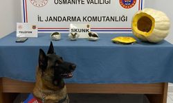 Bal kabağından uyuşturucu çıktı