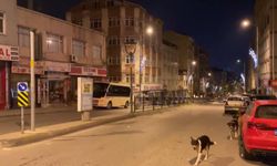 Balıkesir'de meydana gelen deprem İstanbul ve Bursa'da hissedildi