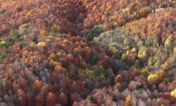 Bolu Mengen'de sonbahar güzelliği