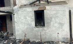 Bozcaada'da otelde çıkan yangın söndürüldü; 1 köpek öldü