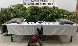 Çiftlikte uyuşturucu bulunmasında sahibi avukat beraat etti, kiracı ceza aldı