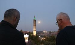 Diyarbakır'da ‘Kunduz ayı' kartpostallık görüntüler oluşturdu