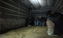 Düzensiz göçmenlere sahte pasaport temin eden şüpheli yakalandı