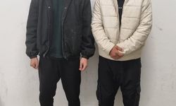 Edirne'de 9 kaçak göçmen yakalandı