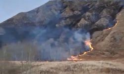 Erzurum'daki örtü yangını söndürüldü