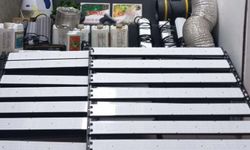 Evine sera kurup, Hint keneviri yetiştirmiş