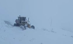 Hakkari'de kardan kapanan 30 köy ve mezra yolu ulaşıma açıldı