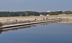 Hastaneden ayrılıp kaybolan polis memurunu arama çalışmaları 3'ücü gününde