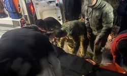 Kamyon uçuruma yuvarlandı, sürücüsü öldü