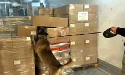 Kapıkule'de TIR'dan 66 kilo 400 gram uyuşturucu hammaddesi ele geçirildi