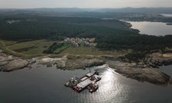 Kocaeli'de karaya oturan gemideki alçının tahliyesi için çalışma başlatıldı