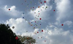 Lösemiyi yenen Mirza için yüzlece balon uçuruldu