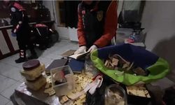 Malatya'da çeşitli suçlara karışan 31 kişiden 15'i tutuklandı