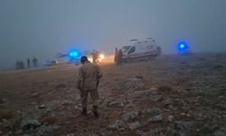 Malatya'da kayıp kadın için arama çalışması başlatıldı (2)