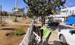 Mardin'de 2 çocuk parkın duvarını tekmeledi; o anlar kamerada