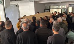 Mardin'de 3 kişilik ailenin ölü bulunması ile ilgili tutuklanan komşunun ifadesi ortaya çıktı