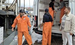 Marmara'da lodos dindi; Tekirdağlı balıkçılar, 600 kasa balık avladı