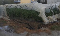 Mersin'de hortumlar evlere ve seralara zarar verdi