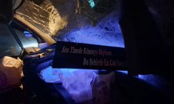 Minibüs, TIR'a çarptı; 2 yaralı