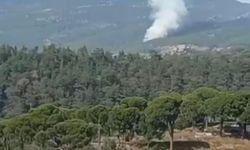 Muğla'da 1 hektar orman yandı