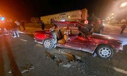 Nevşehir'de 2 kişinin öldüğü kazada otomobil sürücüsü tutuklandı