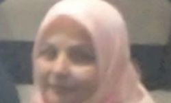 Ordu'da tarım aracı, uçuruma yuvarlandı; 1 ölü, 2 yaralı