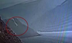 Otomobil baraj gölüne yuvarlandı; 2 kişi öldü, 1 kişi aranıyor (3)