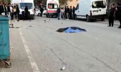 Otomobilin çarptığı Güney, hayatını kaybetti