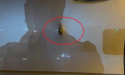 Otomobiline binerken silahlı saldırıda ölmüştü; tutuklu sayısı 9'a çıktı