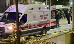 Şanlıurfa'da 2 kayınbiraderini öldürdü, 2 kişiyi de yaraladı